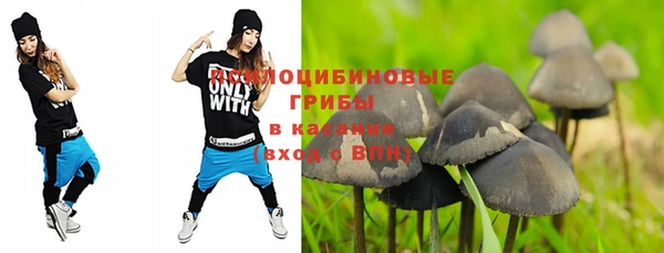 индика Баксан