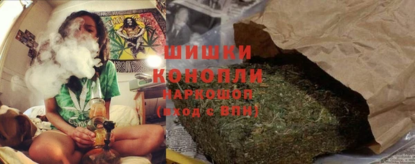 индика Баксан