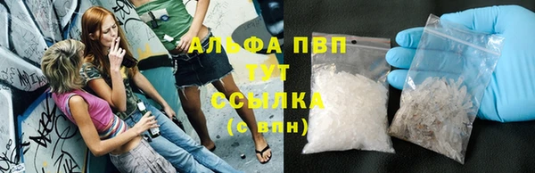 индика Баксан