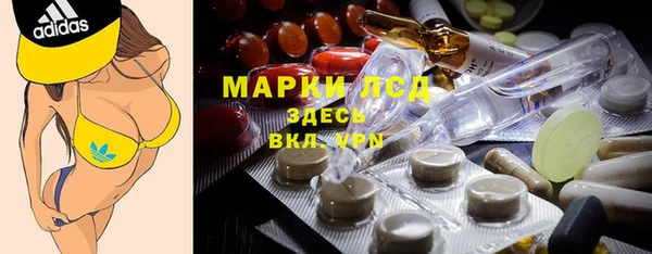 индика Баксан