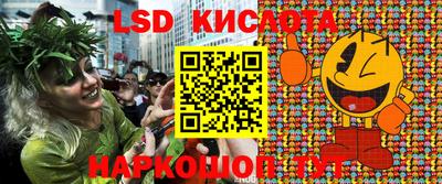 прущие грибы Шахты