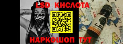 прущие грибы Шахты