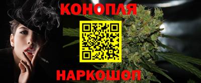 прущие грибы Шахты