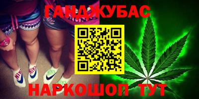 прущие грибы Шахты