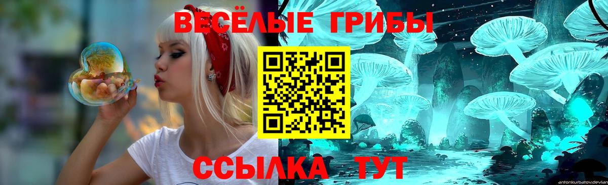 Галлюциногенные грибы мухоморы  Вход с VPN  магазин  наркотиков  Баксан 